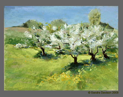 Early Spring Green with Apple Blossoms